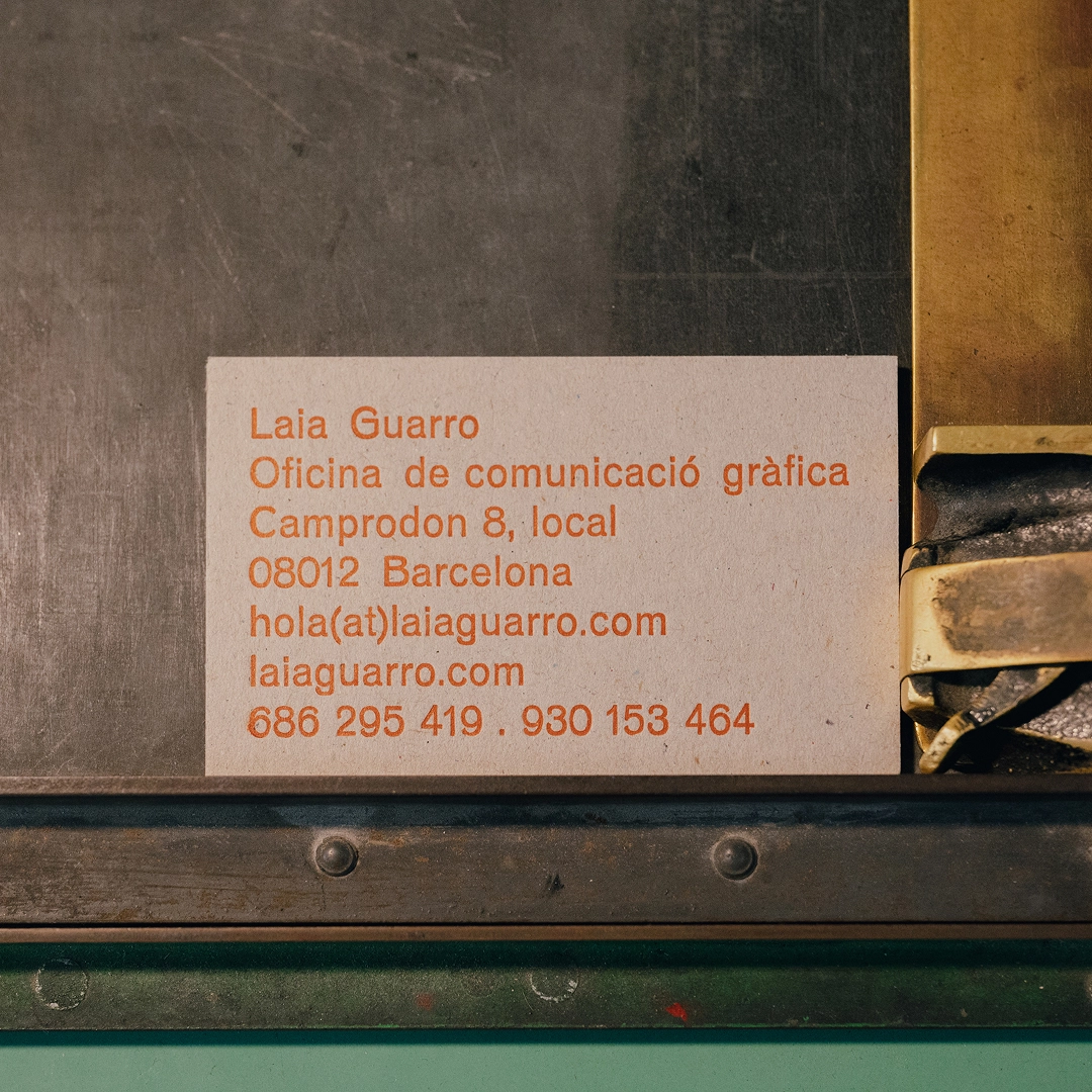 Laia guarro - Targetes estudi